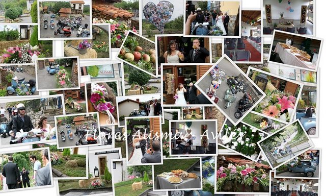 Deoración de Flores Alisma - Avilés -  para la boda en Illas de Maria & Ivan