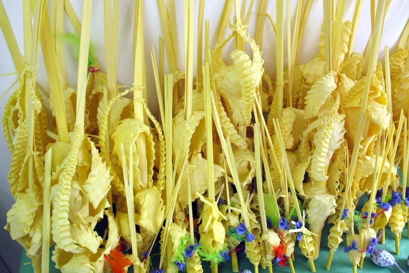 palmas de pascua