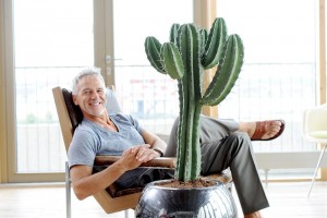flores_alisma_de_aviles_te _recomienda_en_junio_los_cactus