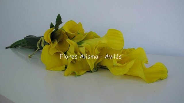 Elegante ramo de novia con clalas de flores Alidma de Avilés