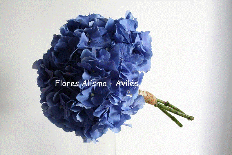 Ramo de novia Bouquet de hortensia