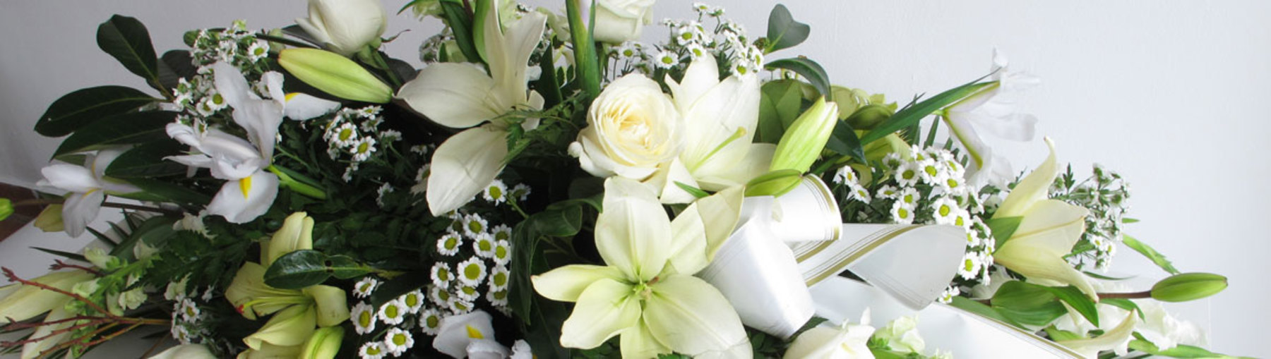 Flores Alisma