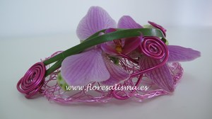 Brazalete