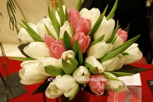 Bouquet de tulipanes