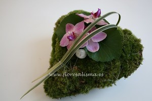 Corazón de musgo y orquideas