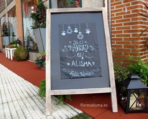 Escaparate de Navidad