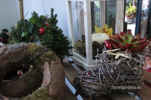 Escaparate de Navidad