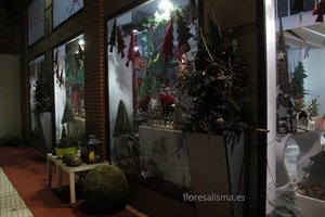 Escaparate de Navidad
