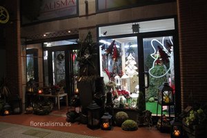 Escaparate de Navidad
