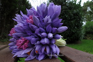 Ramo de novia  Flores Alisma - Avilés - Bouquet de crocus 