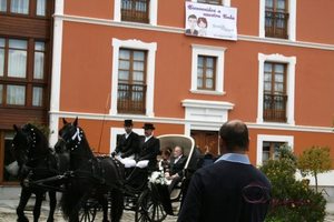 Decoración para boda en La Casona de Lupa Flores Alisma