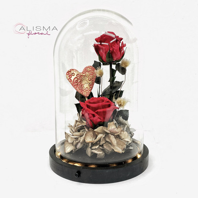 Cupula Grande 25,50  alto 17 diámetro