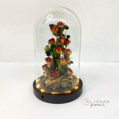 Cupula Mediana 21,50 alto  14 diámetro