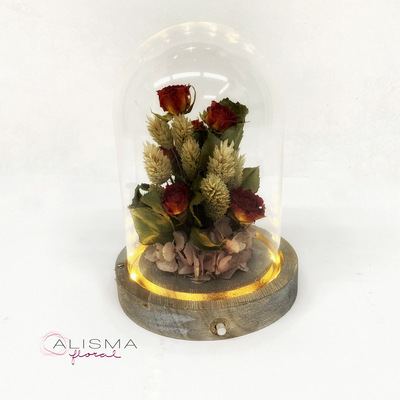 Cupula Pequeña 16,50 alto  12 diámetro