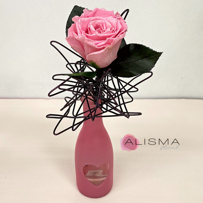 violetero botella de cristal con rosa rosa preservada en estructura