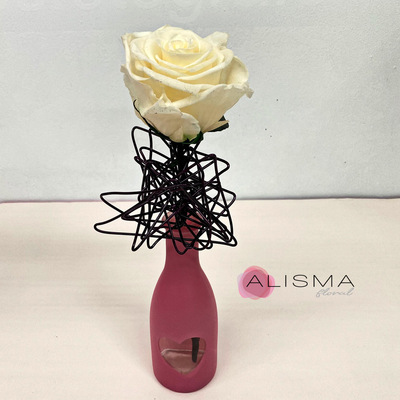 violetero botella de cristal con rosa blanca preservada en estructura
