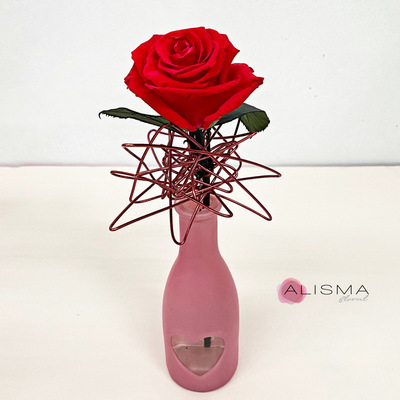 violetero botella de cristal con rosa roja preservada en estructura