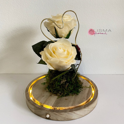 cupula con rosas rojas preservadas