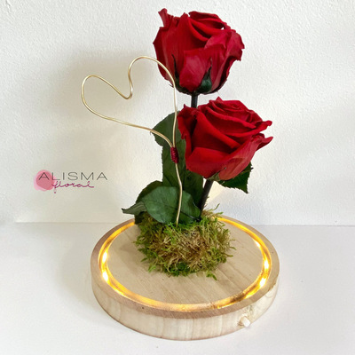 cupula con rosas rojas preservadas