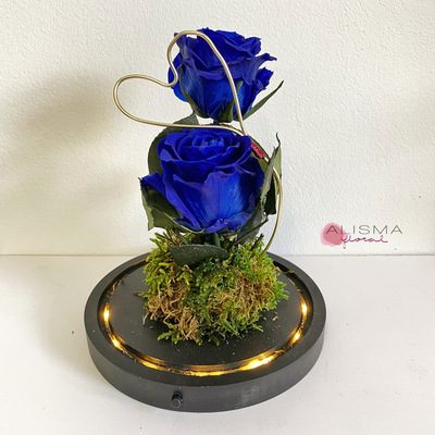 cupula con rosas rojas preservadas