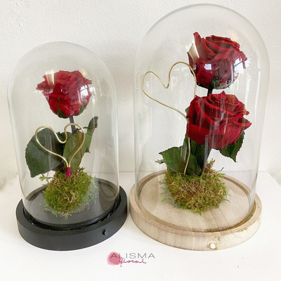 cupula con rosas rojas preservadas