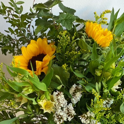 girasoles