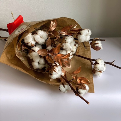 Ramo con ramas de algodón
