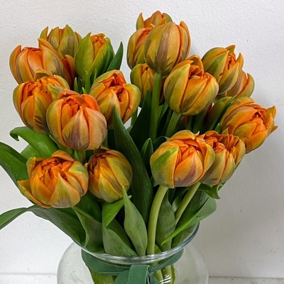 jarron con tulipanes