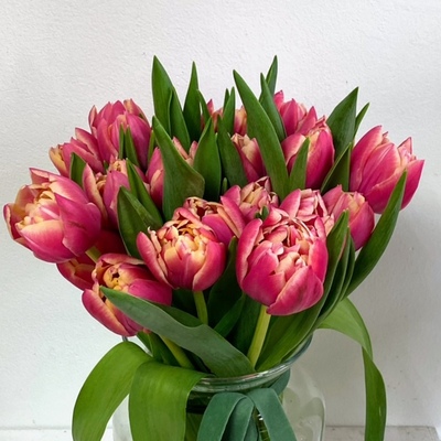jarron con tulipanes