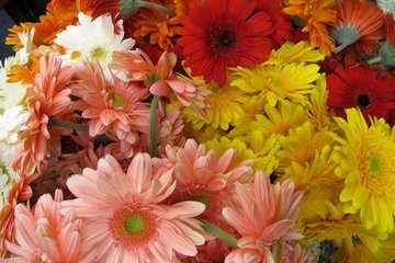 ¿Te gustaría saber el significado de los colores de las flores?
