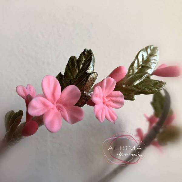 Diadema 