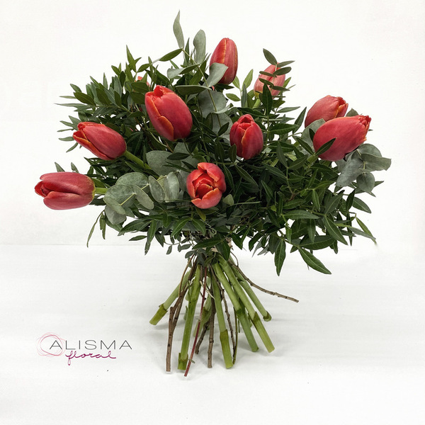 Ramo de Tulipanes