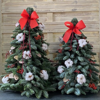 Árbol de Navidad