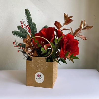 Centro de Navidad Amaryllis en bolsa de kraft