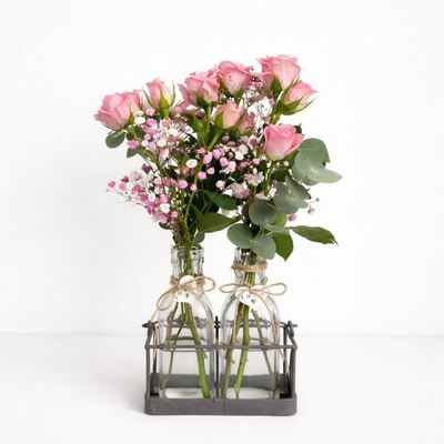 Dúo de violeteros con rosas naturales en Avilés | Flores Alisma