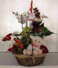 Cesta de plantas y flores con peluche 