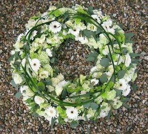 Corona blanca 