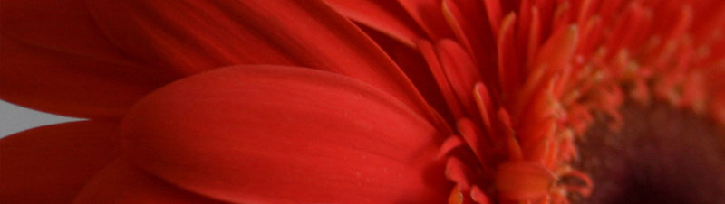 Imagen de seccin